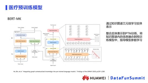 華為云蘇嘉 融合預訓練模型與知識圖譜，構建新一代醫療推理信息系統集成服務