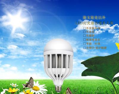 升級版LED節能球泡燈 歐頓照明OED燈的產品優勢與選購指南